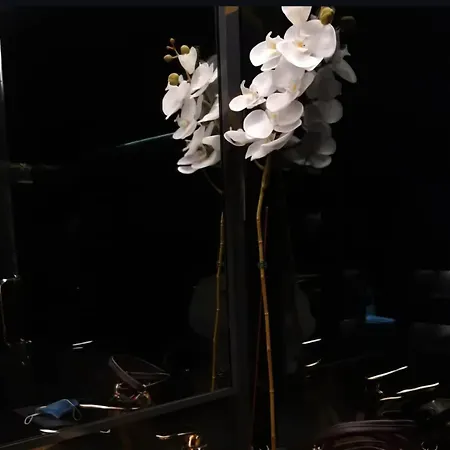 بيت ضيافة Vecchia R 4*