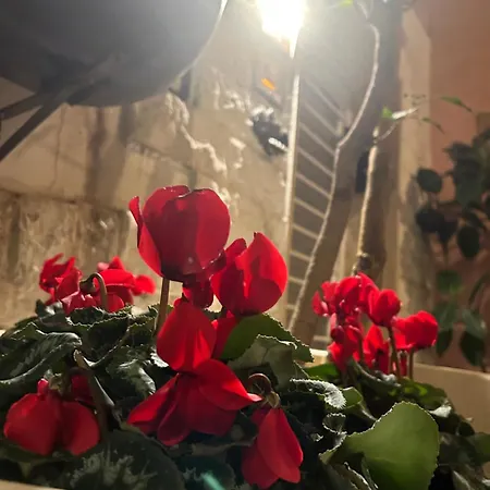 Vecchia R Πανσιόν