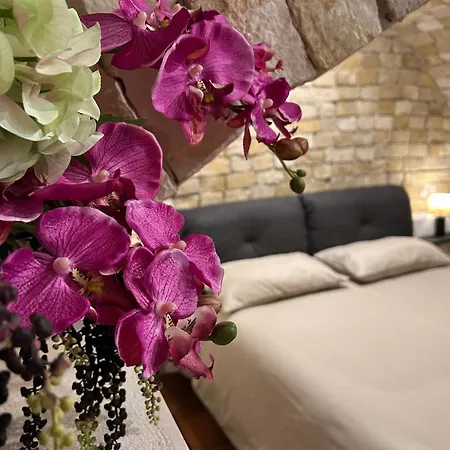 بيت ضيافة Vecchia R 4*