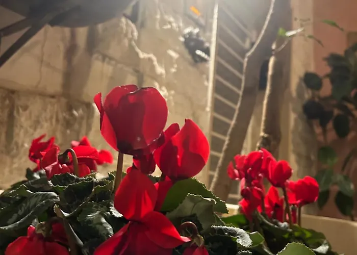 Vecchia R Affittacamere